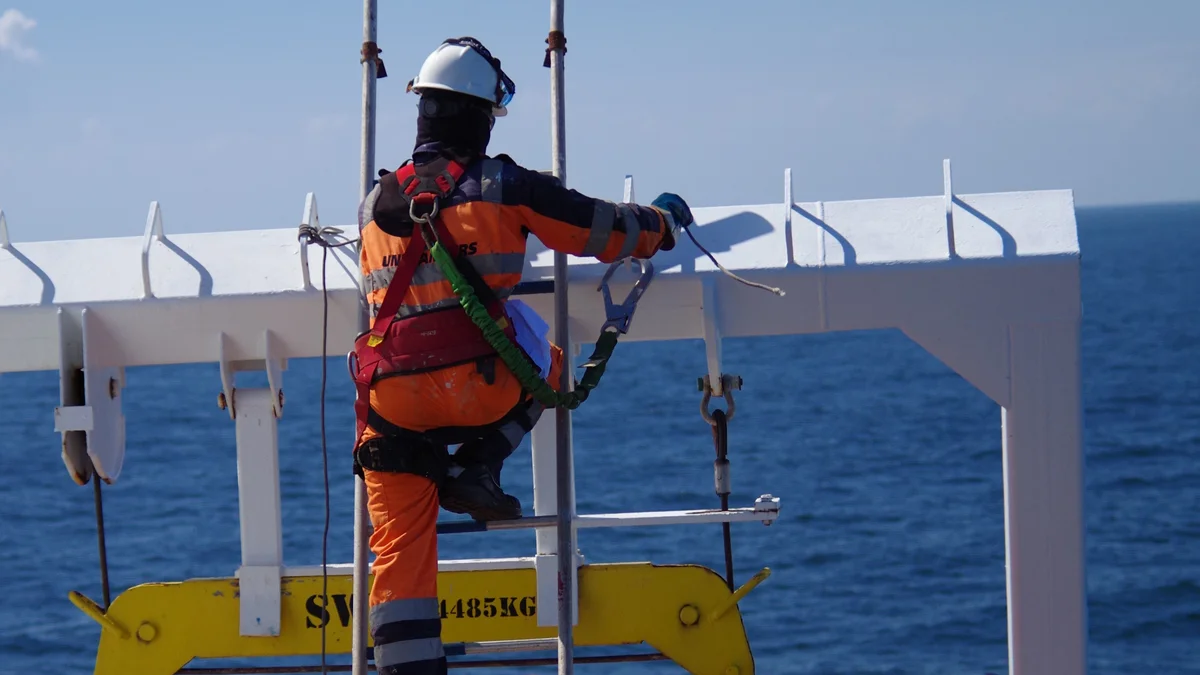 Om sikkerhedsorganisationen